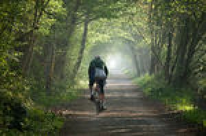 Biking through forest